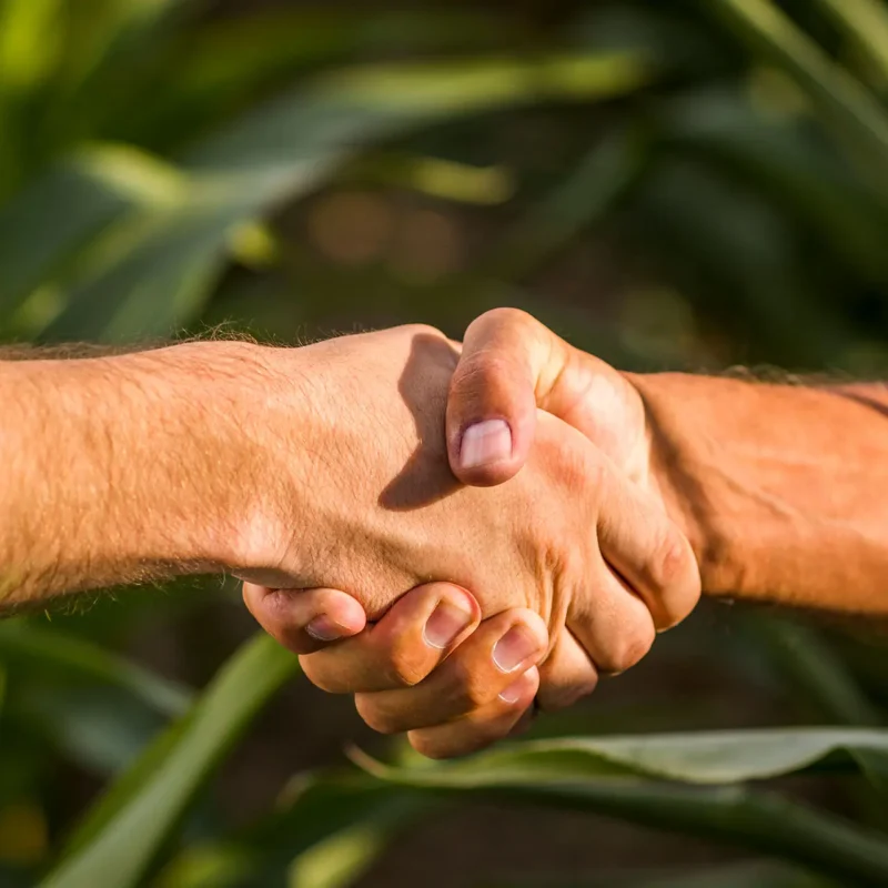 El Campesino: Interview with Benjamín Barros B., “From the Field to Business”