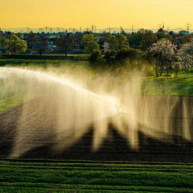Diario Financiero: The lower dynamism of the banking sector reorganizes agricultural financing