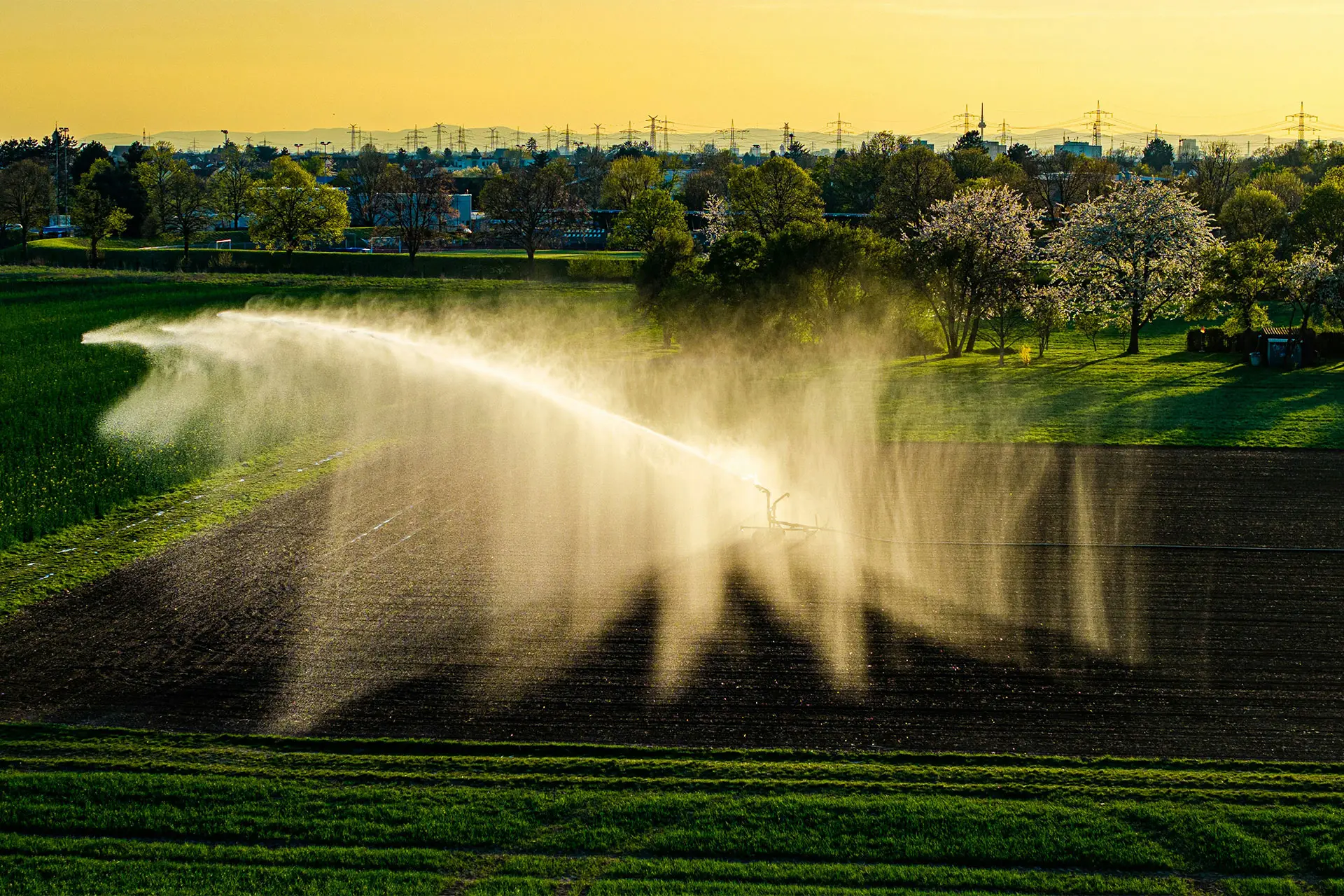 Diario Financiero: The lower dynamism of the banking sector reorganizes agricultural financing